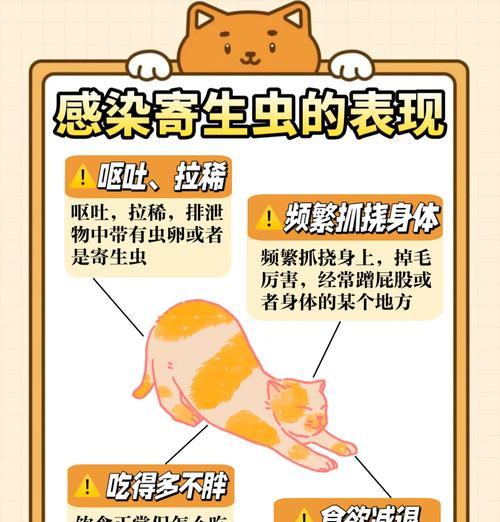 猫儿怎么得猫粮虫？猫咪是如何感染上猫粮虫的？