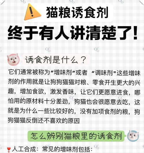 女生吃猫粮会有什么反应？猫粮对人类健康有影响吗？
