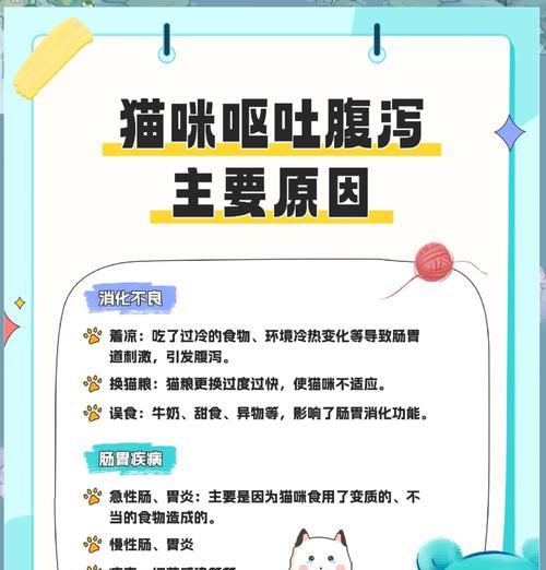 猫进房间偷吃我的猫粮怎么处理？如何防止猫咪偷吃？