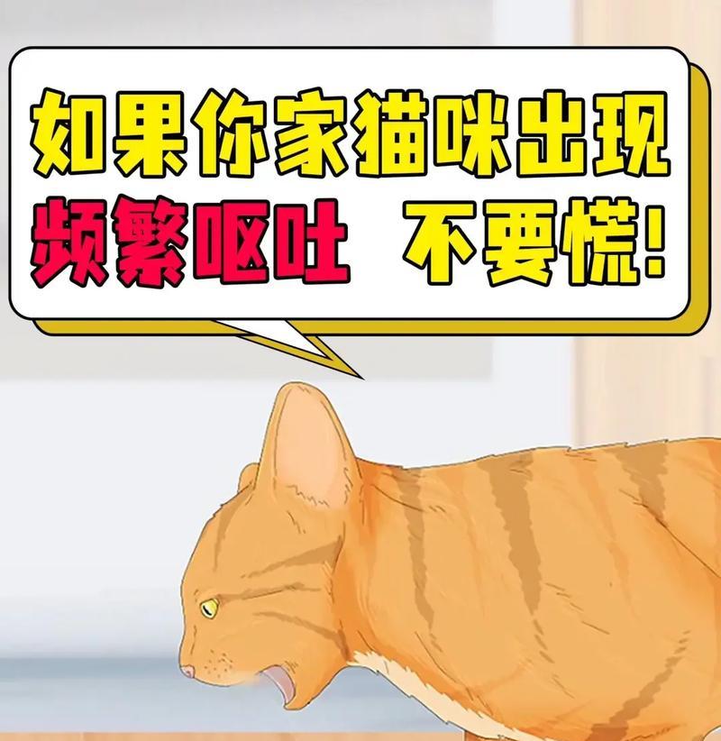猫进房间偷吃我的猫粮怎么处理？如何防止猫咪偷吃？
