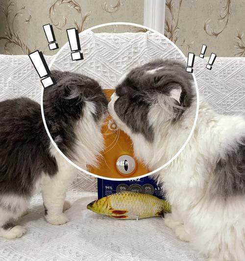 小鱼需要吃猫粮吗？这样做的原因是什么？
