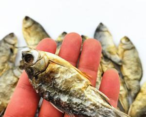 小鱼需要吃猫粮吗？这样做的原因是什么？
