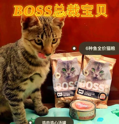 小鱼需要吃猫粮吗？这样做的原因是什么？