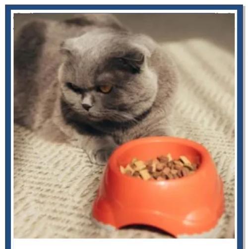 猫不喝奶也不吃猫粮怎么回事？猫咪厌食的原因及解决方法是什么？