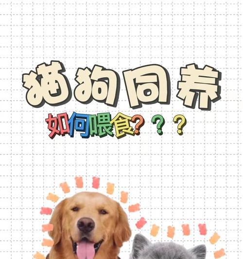 如何防止狗狗偷吃家中的猫粮？