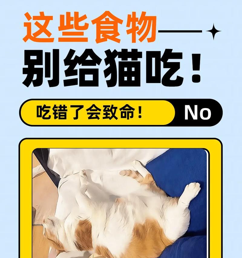 猫粮握在手里不吃的后果是什么？猫粮不吃会有什么影响？