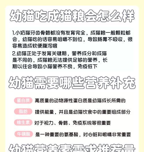 猫粮握在手里不吃的后果是什么？猫粮不吃会有什么影响？
