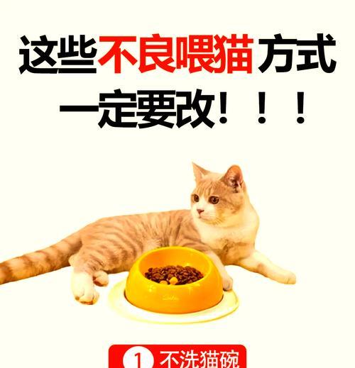 猫粮在工厂是如何烘焙的？烘焙过程中的关键步骤是什么？