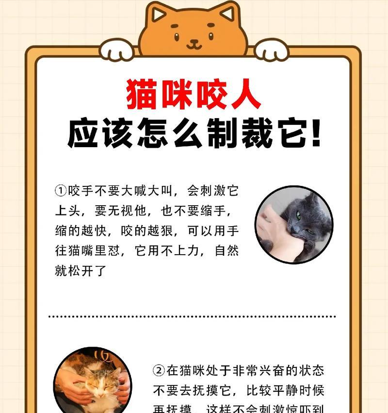 猫咪蹭猫粮时咬人是什么原因？