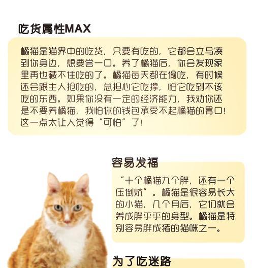 橘猫为什么只吃不长个子的猫粮？可能的原因是什么？