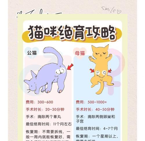 猫猫绝育后不吃猫粮怎么办？