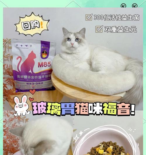 猫咪奶冻配什么猫粮好吃？如何搭配美味猫粮？