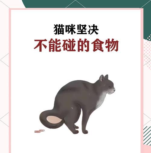 猫咪为何不吃猫粮而偏爱面食？