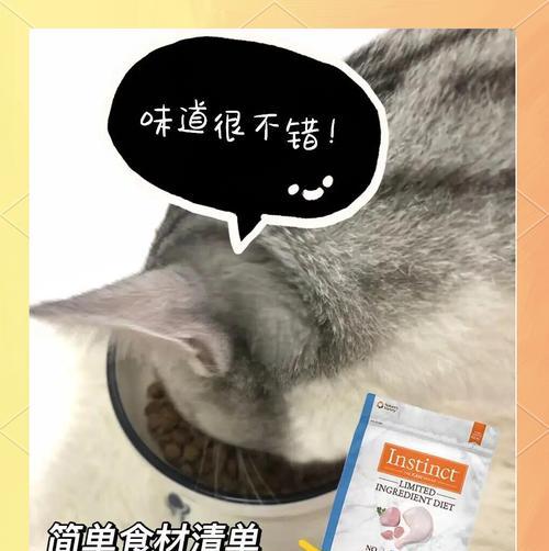 猫咪猫粮过敏应吃什么益生菌？