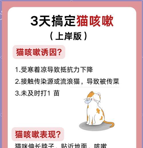 猫咪吃猫粮咳嗽了怎么办？是否需要更换猫粮品牌？