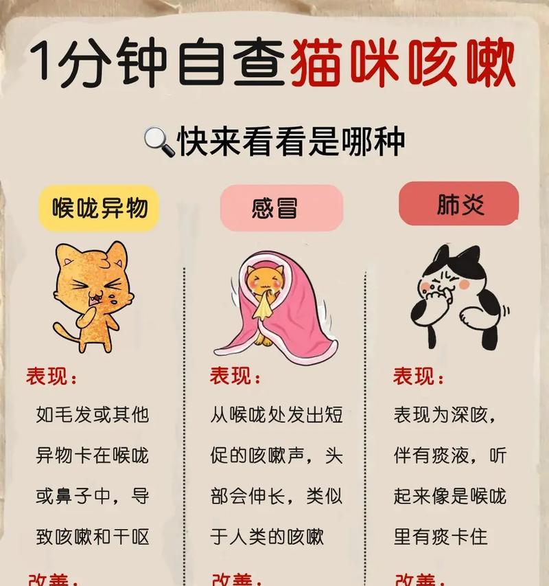 猫咪吃猫粮咳嗽了怎么办？是否需要更换猫粮品牌？