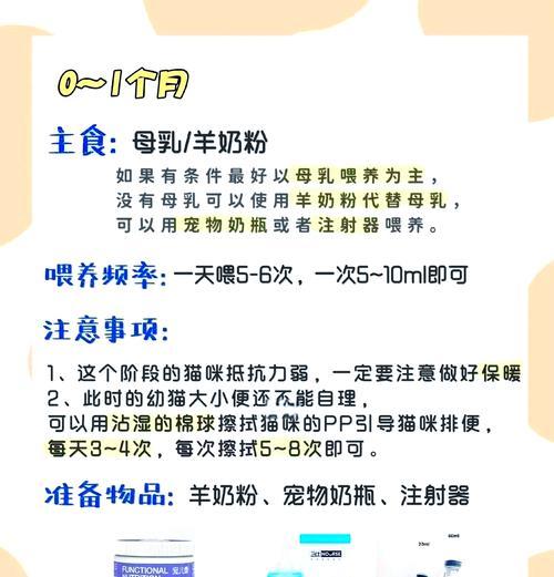 猫粮幼猫猫咪怎么喂养？喂食时应注意哪些事项？