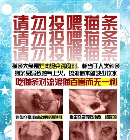 偷吃猫粮导致死亡的原因是什么？如何预防？