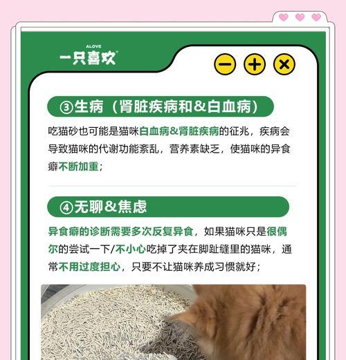 偷吃猫粮导致死亡的原因是什么？如何预防？
