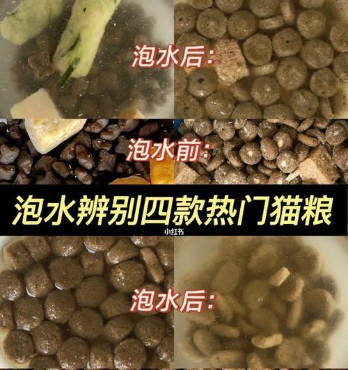 泡水后如何判断猫粮质量？有哪些标准？