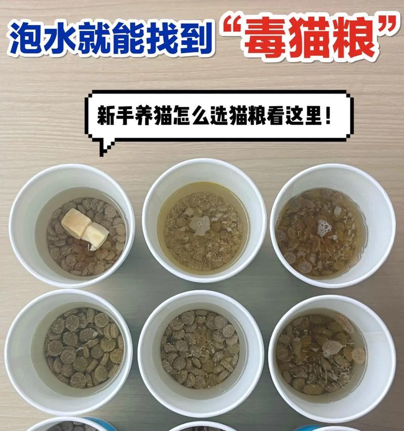 泡水后如何判断猫粮质量？有哪些标准？