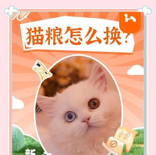 猫咪换粮期间应该怎样过渡？