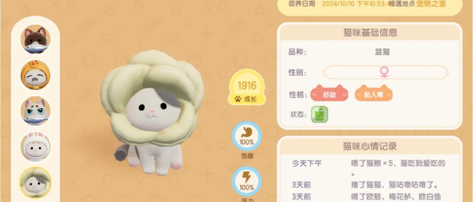 如何制作美味的宠物海鲜猫粮？