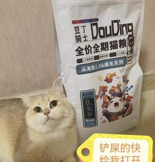 猫粮品牌更换后猫拒食怎么办？