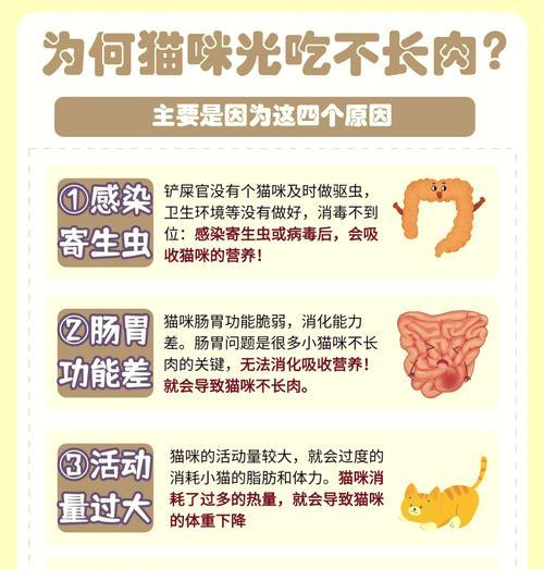 哪种猫粮容易滋生虫子？如何避免猫粮生虫？