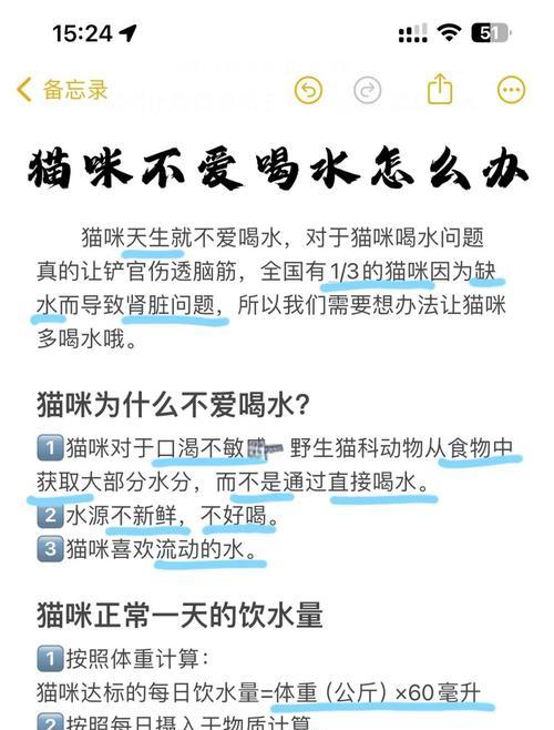 猫咪只喝水不吃猫粮？可能是什么原因造成的？