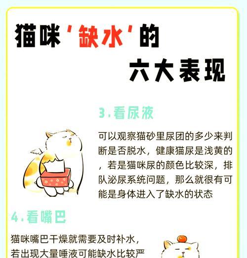 猫咪只喝水不吃猫粮？可能是什么原因造成的？
