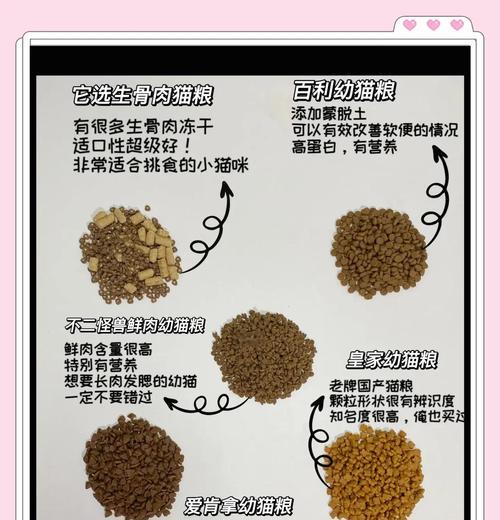 幼猫辅食猫粮如何挑选？有哪些注意事项？