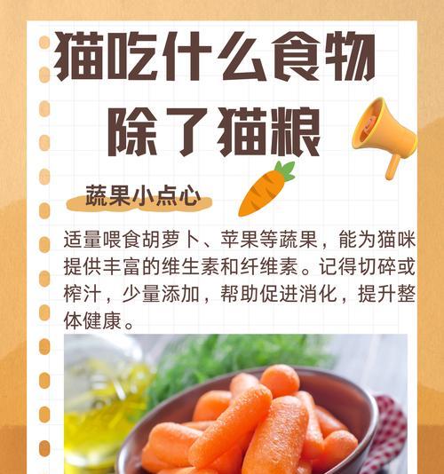 为何用鸡胸肉代替猫粮？这样做对猫咪有何影响？