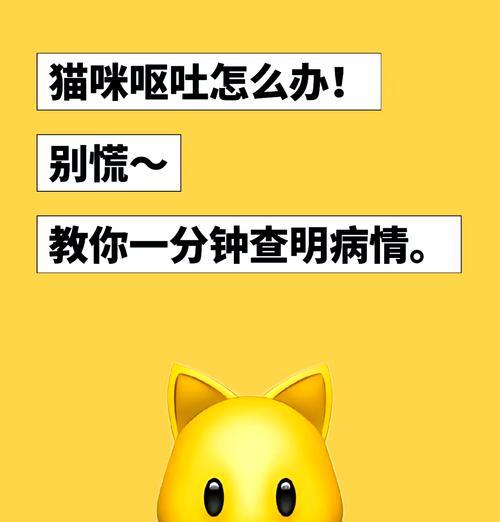 猫体温高总要吐猫粮怎么回事？可能是哪些原因导致的？