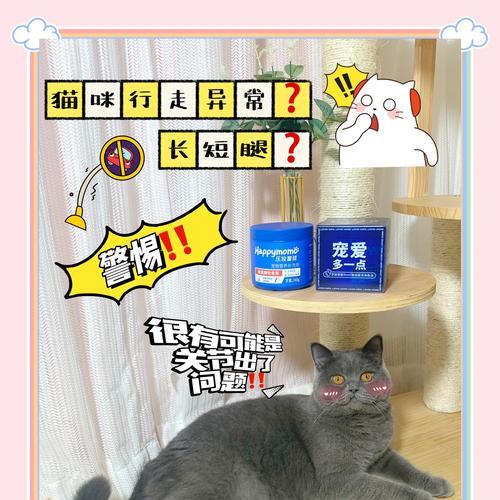 猫咪拒食且后腿无力是什么原因？