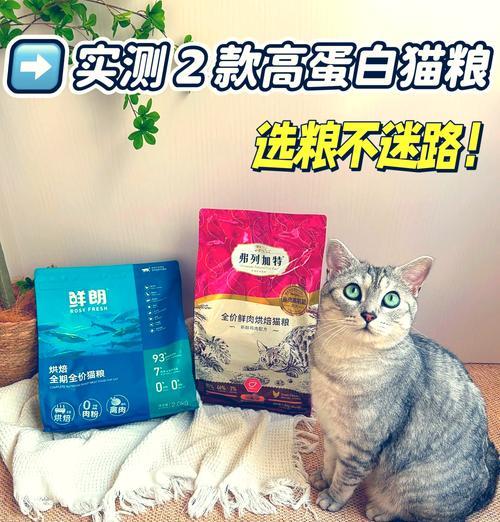 城市一楼猫粮的品质如何保证？