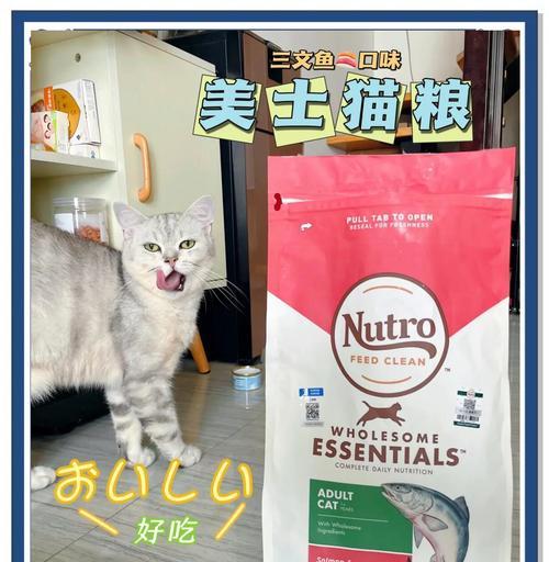 猫咪软便应该吃什么猫粮？有什么推荐吗？