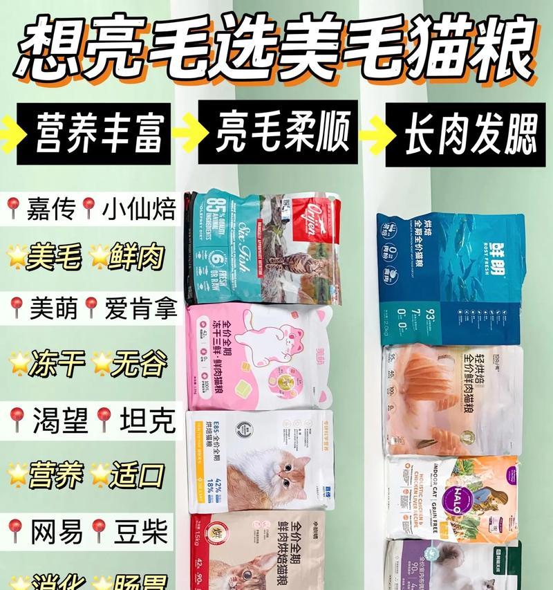 最好的湿猫粮美国产品是什么？如何选择适合的猫粮？
