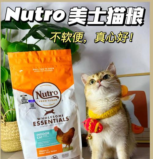 最好的湿猫粮美国产品是什么？如何选择适合的猫粮？