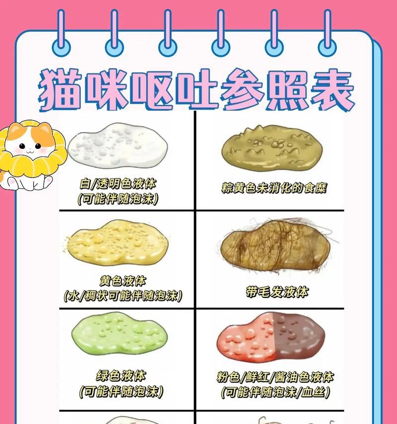 猫咪食用猫粮后呕吐的原因是什么？