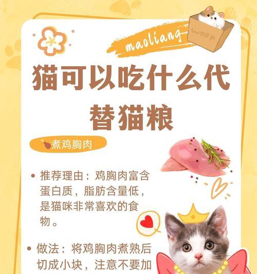 小猫偷吃猫粮怎么收拾它？如何防止小猫偷食？