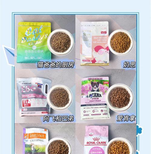 聪明粘人的小猫适合哪种猫粮？如何挑选？