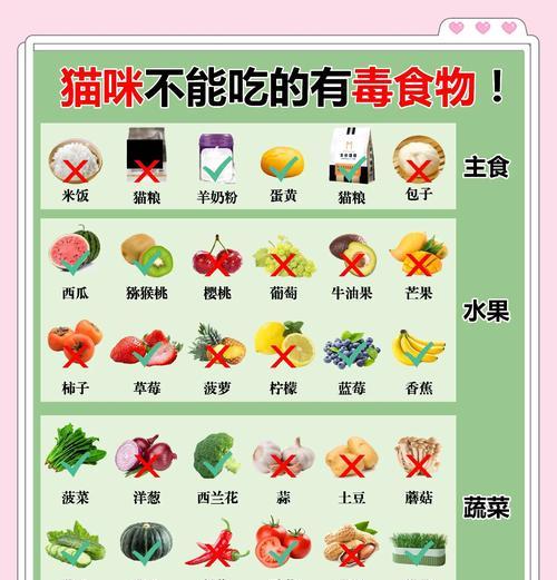公猫只吃猫粮不吃其他食物怎么办？如何调整饮食习惯？