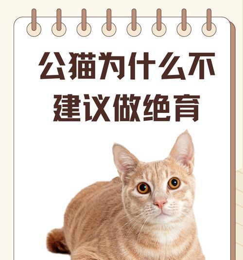 公猫只吃猫粮不吃其他食物怎么办？如何调整饮食习惯？