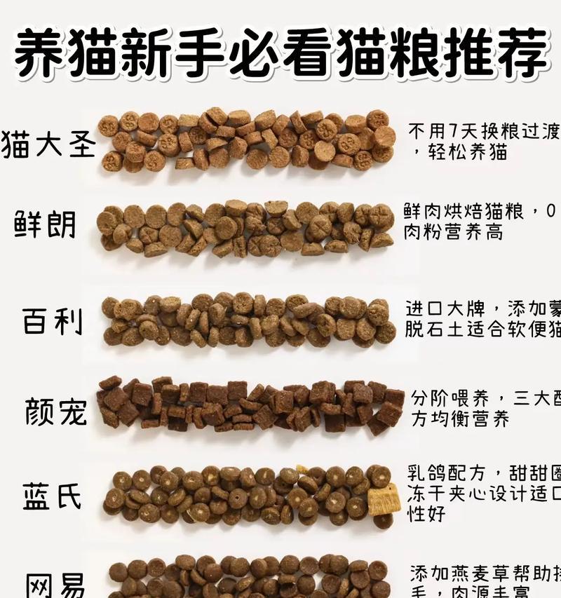猫粮肉酱的制作有哪些窍门？如何做出美味的猫粮肉酱？