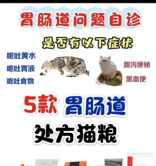 猫咪没有猫粮时应该吃什么？乱吃东西导致拉稀怎么办？