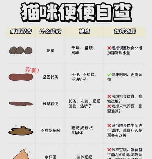 猫换粮后不排便怎么办？如何调整饮食？