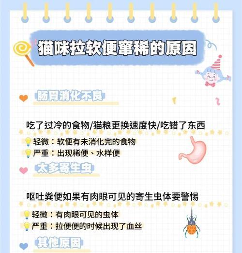 猫换粮后不排便怎么办？如何调整饮食？