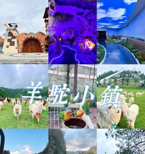 从黔西到羊驼小镇的交通方式有哪些？具体路线是什么？