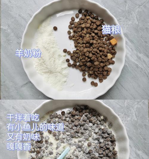 猫的羊奶粉拌猫粮好吗？正确的食用方法是什么？